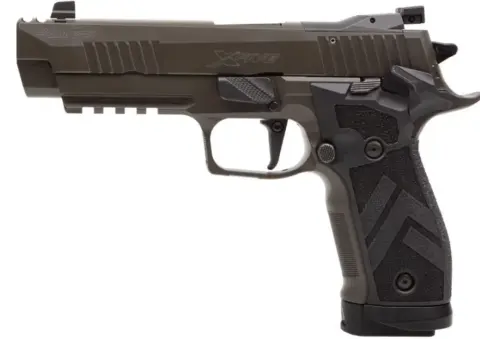 a pistol from Sig Sauer P226 series